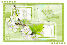 lovespring